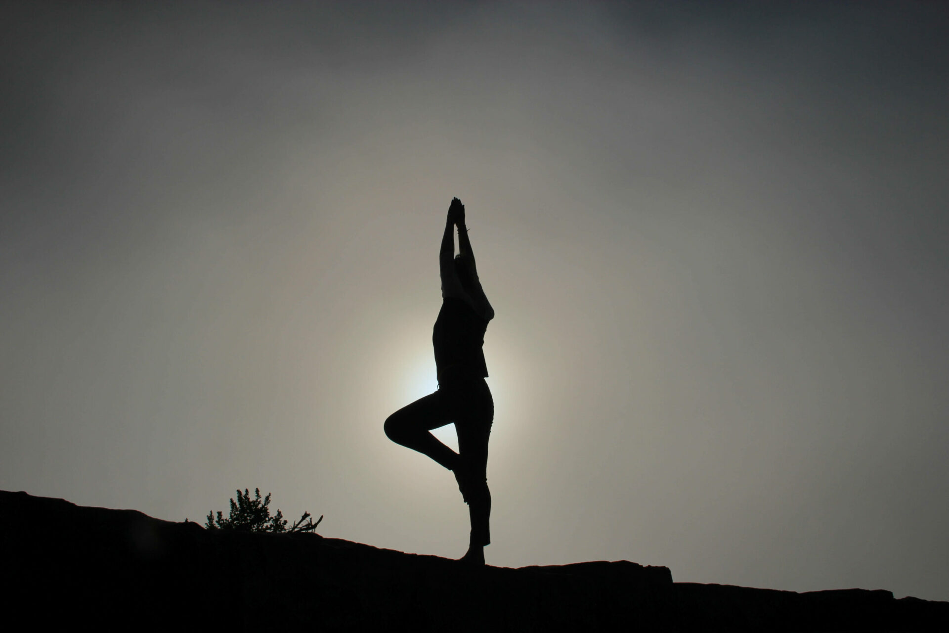 Online fitness marketing